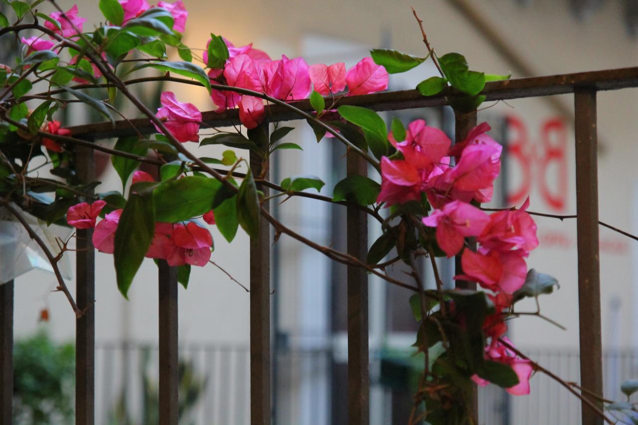 Cortile Stesicoro Bed & Breakfast CTA Eksteriør bilde